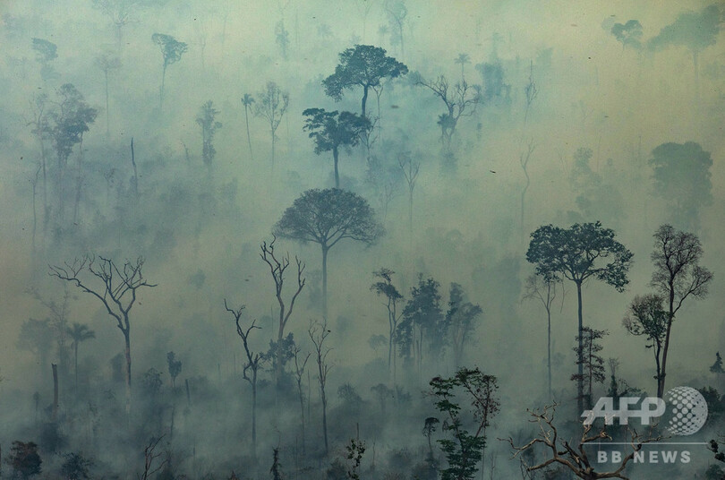 ブラジル、G7によるアマゾン消火活動支援を拒否
