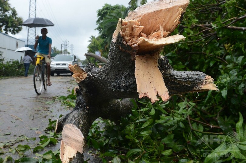 スリランカ、暴風雨により7人死亡 被災地支援のため軍を派遣