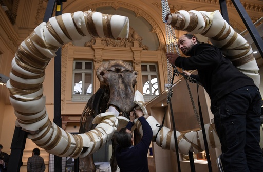マンモスの巨大骨格標本、7300万円で落札 仏 写真7枚 国際ニュース