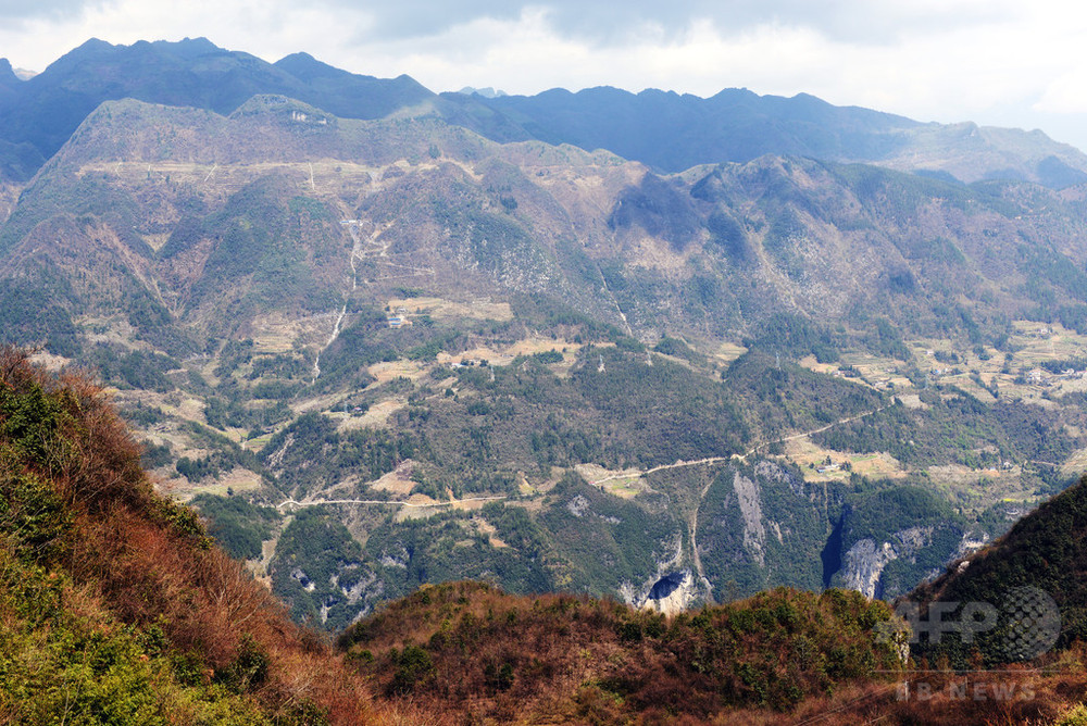 崖で養蜂 海抜1700メートルの中国・雲峰村 写真5枚 国際ニュース:AFPBB News