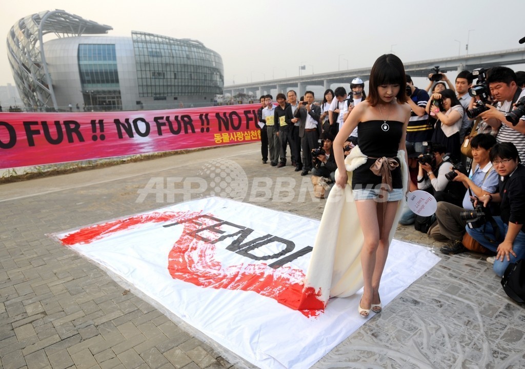 韓国でフェンディがショー、動物愛護団体が抗議