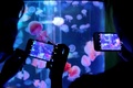 浙江省嘉興博物館では「クラゲファンタジー 清涼の夏」が開催中。来場者を魅了している（2017年6月20日撮影）。(c)CNS/金鵬