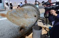 大きく損傷したサウジアラビア・クライスの石油処理施設を撮影する報道陣（2019年9月20日撮影）。(c)Fayez Nureldine / AFP