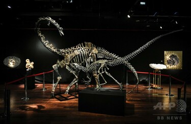 恐竜の標本2体が競売に、各1億8500万円超で同一人物が落札 写真8枚