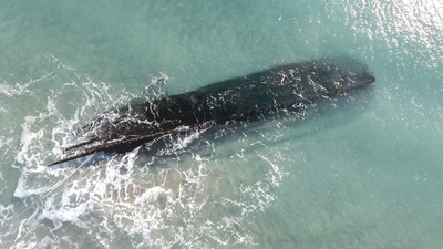 カナダの島に謎の難破船が出現、19世紀のものか