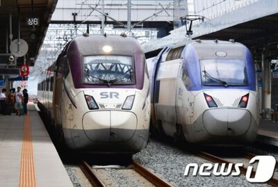 韓国鉄道にイノシシ侵入相次ぐ…高まる安全への懸念
