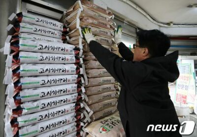 韓国・コメは売れないのに即席ご飯は人気…消費支え