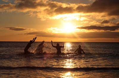 太陽に似た恒星の約2割に、地球に似た惑星か