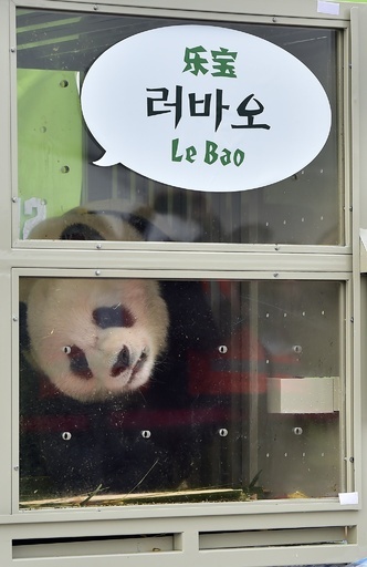 中国からパンダが到着、仁川国際空港で歓迎式典 韓国