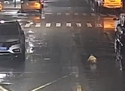 乳児が夜中に道路の中央をハイハイ 親切な市民が保護 中国