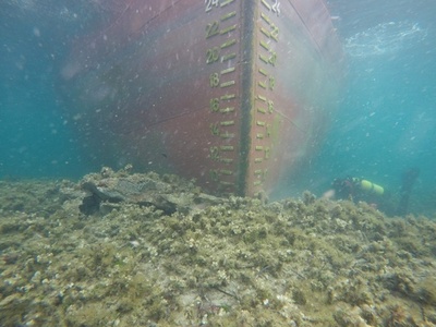 仏コルシカ島沖の海洋保護区で貨物船座礁、重油流出はなし