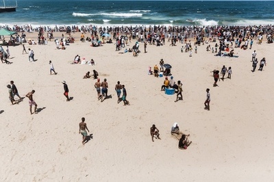 アシカの赤ちゃんに襲われ2人負傷 南ア