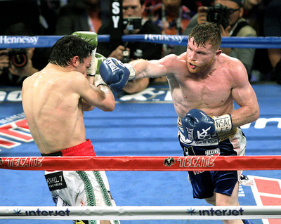 アルバレスがノンタイトル戦で圧勝、次戦はゴロフキンと