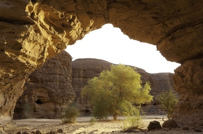 訪問者が名前残す？ チャド、世界遺産の洞窟壁画に落書き