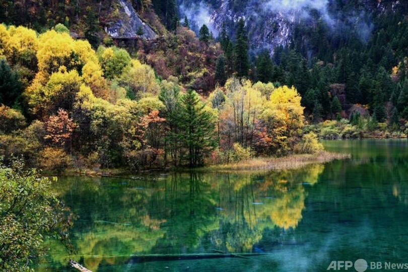 「少人数、高品質」の観光 人気を集め