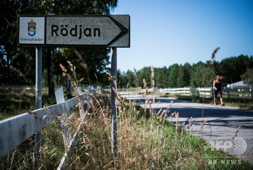 受刑者の更生に牛が一役、スウェーデンの農場刑務所