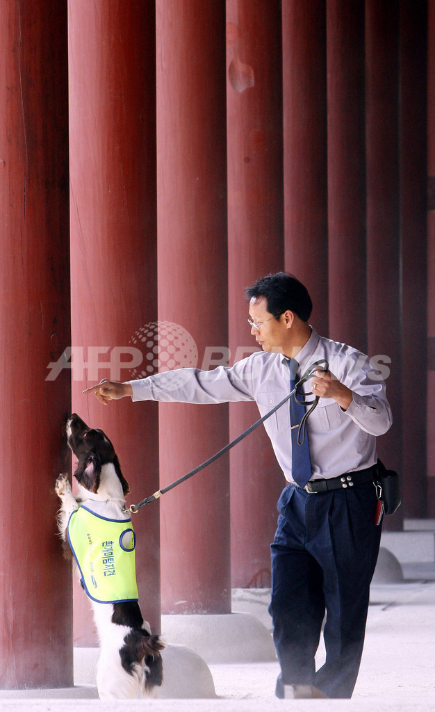 韓国で麻薬捜査犬が文化財保護に活躍