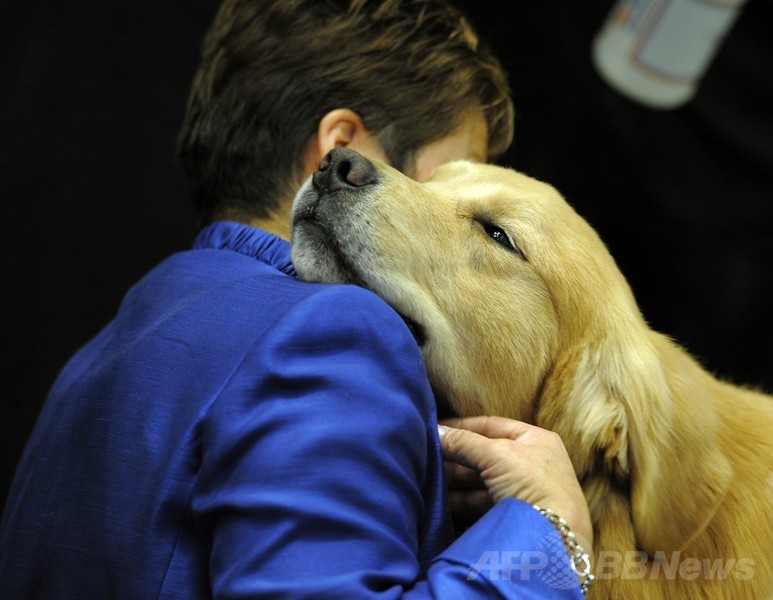 【特集】「美犬」大集合、米ドッグショー写真集