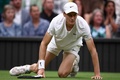 テニス、ウィンブルドン選手権、男子シングルス準々決勝。コートに膝をつくヤニック・シナー（2024年7月9日撮影）。(c)HENRY NICHOLLS / AFP
