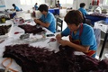 中国・安徽（Anhui）省太和（Taihe）県にある工場で、ヘアエクステンションを作る作業員たち（2014年7月28日撮影）。(c)AFP/Greg BAKER