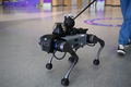 拱墅運河スポーツ公園体育場のホールで盲導犬ロボット「小西」を体験する観客（2023年10月26日撮影）。(c)Xinhua News