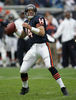 パスコースを探すベアーズのQBブライアン・グリーシー（%%Brian Griese%%）。(c)AFP/Getty Images Jonathan Daniel