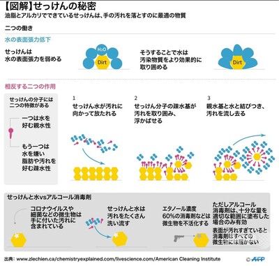 図解 せっけんの秘密 手の汚れを落とす最適の物質 写真4枚 国際ニュース Afpbb News