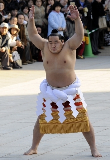 朝青龍 モンゴル大統領を目指すと報じられる