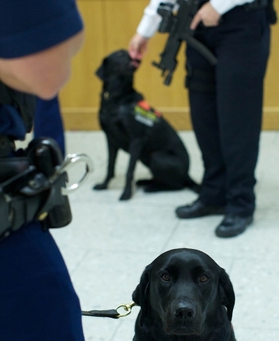 選手村がオープン、ロンドン五輪