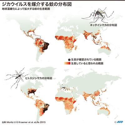 【図解】ジカウイルスを媒介する蚊の分布図