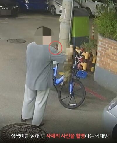 野良猫を安全コーンに閉じ込め火を放つ…韓国・20代被告に猶予判決