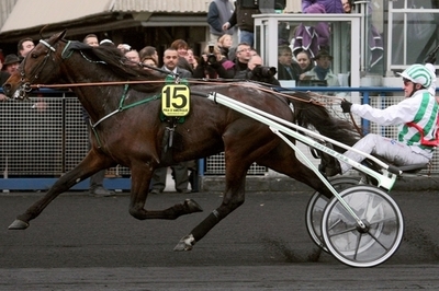 100％天然の肥料はいかが？優勝馬の馬ふんを配布へ フランス
