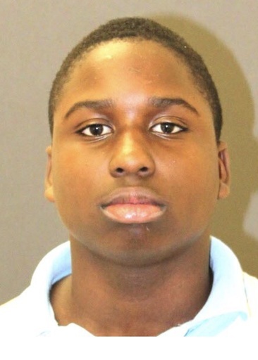 14歳の米少年、83歳女性をレイプし死なせた罪で訴追される