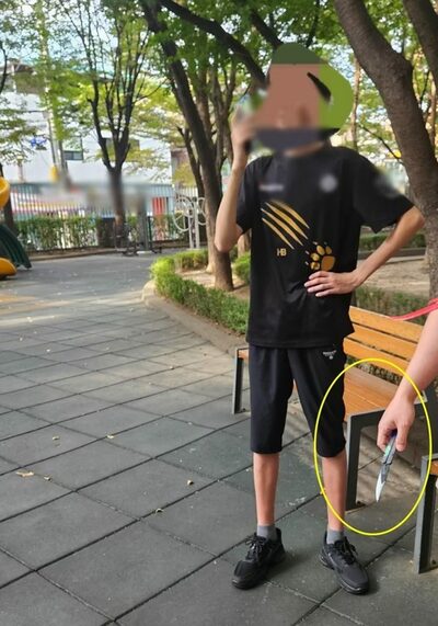 ソウルの遊び場、小学生を「やや怖い」おもちゃナイフで脅した中学生…母親「何が悪いの？」非常識対応が波紋
