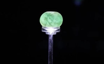 2000年以上前の史書に記された古代の珍しい宝物「夜明珠」が初登場