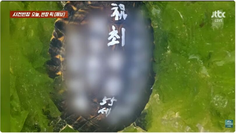 JTBC「事件班長」放送画面キャプチャー(c)MONEYTODAY
