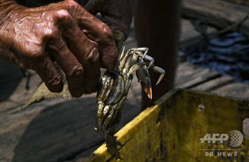 経済破綻が引き起こした湖の原油汚染、人々の暮らし脅かす ベネズエラ