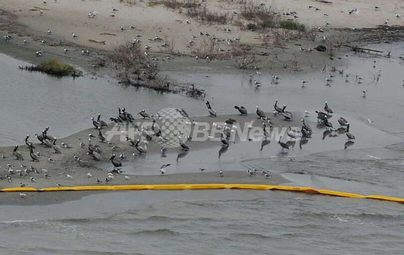米メキシコ湾岸、流出原油がもたらす悪夢のシナリオ