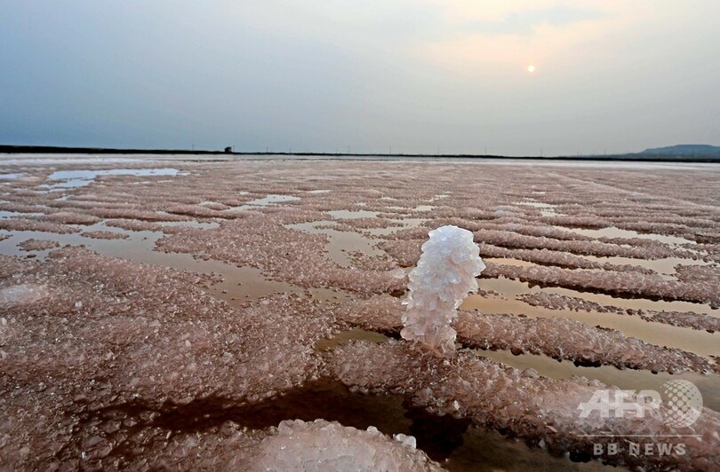 低温の塩湖に硫酸ナトリウムの「花」が咲く 中国・山西省