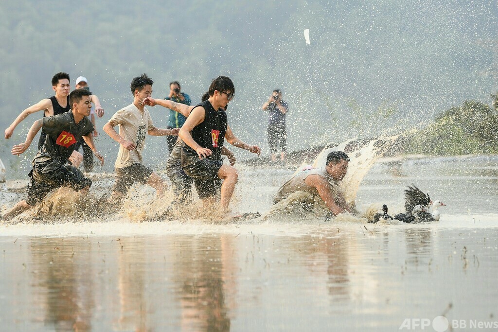 【今日の1枚】キャッチャー・イン・ザ・ライス 中国 写真4枚 国際ニュース:AFPBB News