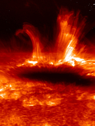 特集】知られざる太陽の姿 写真21枚 国際ニュース：AFPBB News