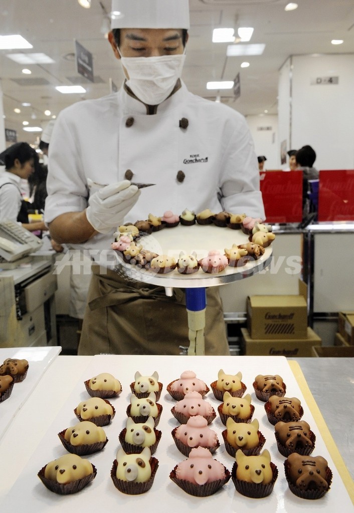 赤ワインとチョコレートにがん細胞の血管新生阻害作用、米研究 赤ワインとチョコレートにがん細胞の血管新生阻害作用、米研究