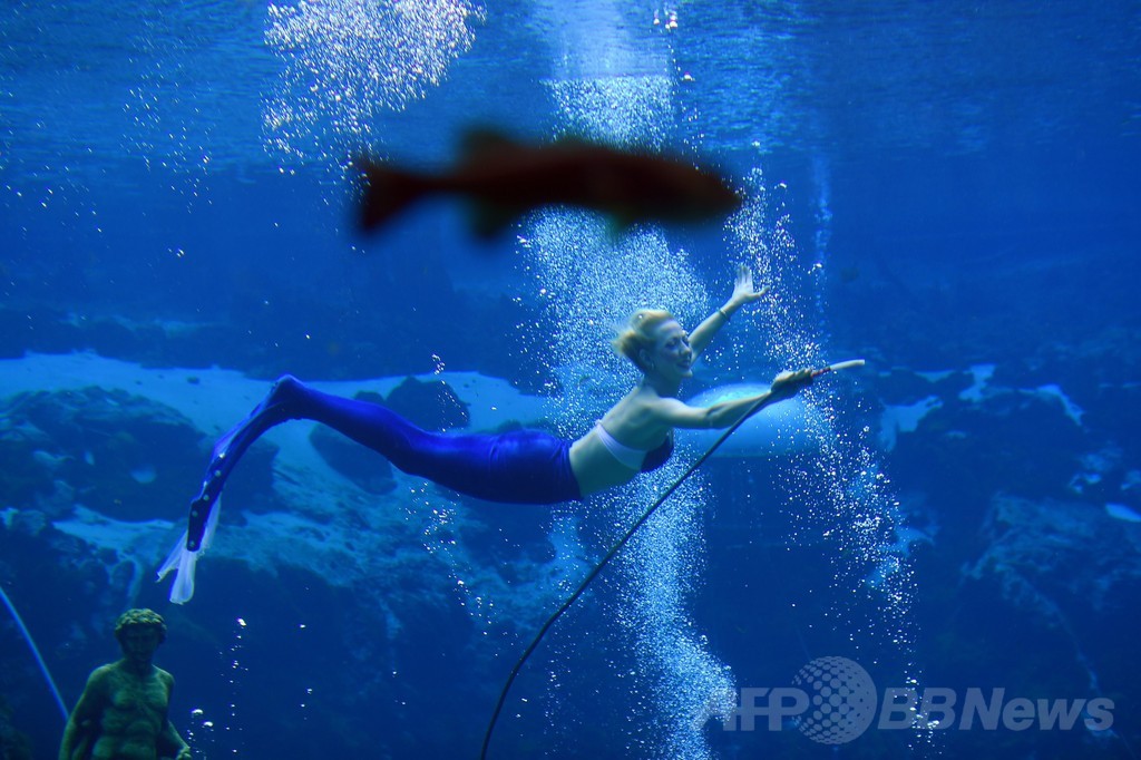 水中で楽しむ人魚ショー 米フロリダ 写真7枚 国際ニュース Afpbb News