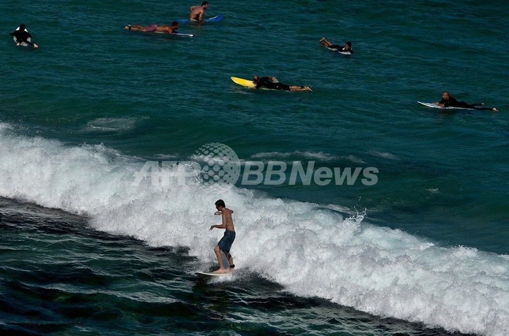 サーファーがクジラに一撃され失神 豪シドニーのビーチ 写真1枚 国際ニュース Afpbb News