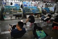 中国・北京の水産物卸売市場（2023年8月24日撮影）。(c)GREG BAKER / AFP