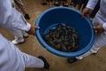 タイのサッタヒープにあるタイ海軍のウミガメ保護センターで、ウミガメの入ったバケツを運ぶ海軍の兵士（2017年7月26日撮影）。(c)AFP/LILLIAN SUWANRUMPHA