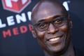 米俳優のランス・レディックさん（2019年8月20日撮影）。(c)VALERIE MACON / AFP