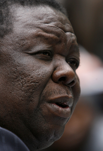 ジンバブエ野党議長、政治的解決と「平和維持部隊」の介入を呼びかける