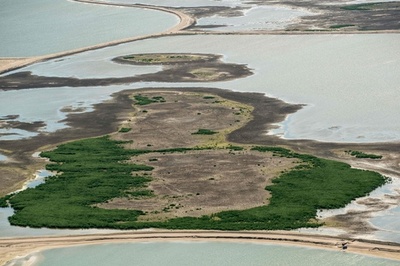 野生生物を呼び戻す、オランダで人工島建設