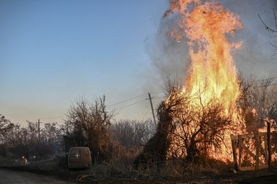 ウクライナ激戦地でロシア側が白リン弾使用か AFP取材班が目撃